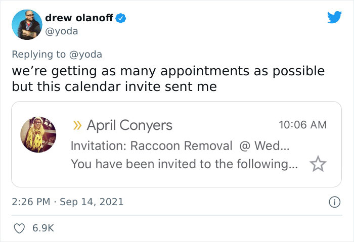 Mission "Raccoon Removal": This Guy’s Live Tweets About How He’s Trying To Get A Raccoon Out Of His House Are Seriously Hilarious