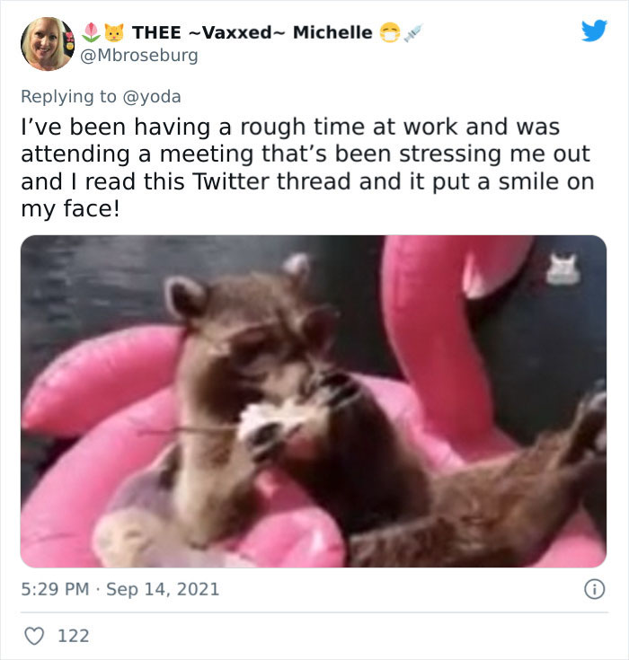 Mission "Raccoon Removal": This Guy’s Live Tweets About How He’s Trying To Get A Raccoon Out Of His House Are Seriously Hilarious Mission "Raccoon Removal": This Guy’s Live Tweets About How He’s Trying To Get A Raccoon Out Of His House Are Seriously Hilarious