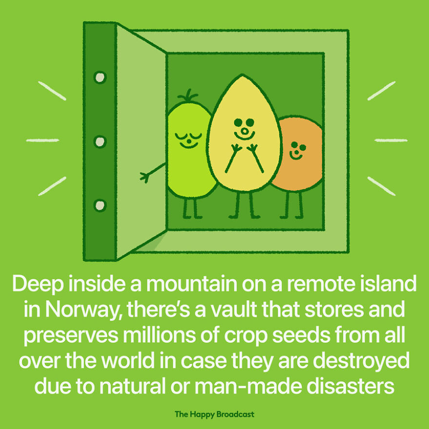 I’m Honestly Fed Up With All The Bad News So I Illustrated The Best News Of 2021