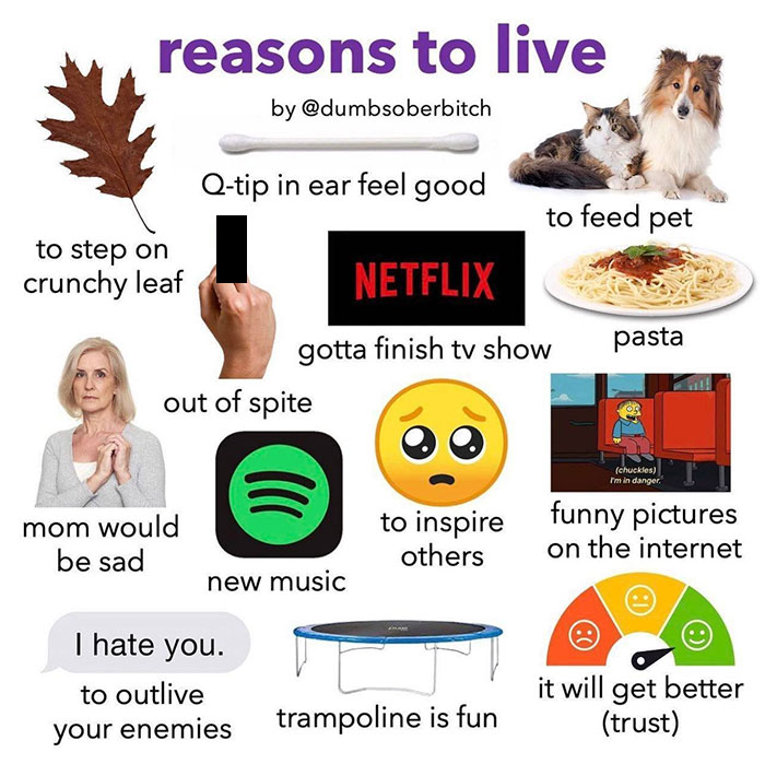 Reasons To Live Starter Pack