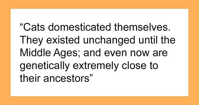 35 ‘Today I Learned’ Facts That Show It’s Never Too Late To Learn (New Pics)