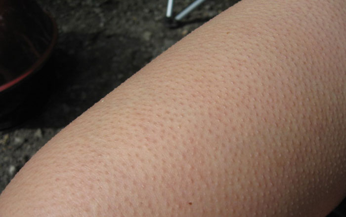 30 "Unfun" Facts People Have Learned Recently That Are Both Fascinating And Terrifying