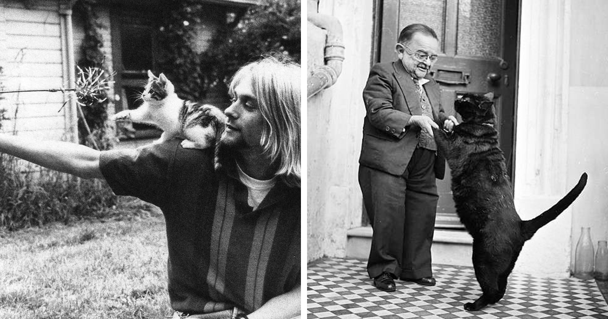 Journalist Collects Vintage Photos Of Celebrities With Cats And More (30 Pics)