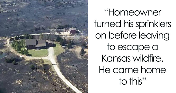 120 ‘Weird Facts’ About The World That Might Give You A Fresh Perspective