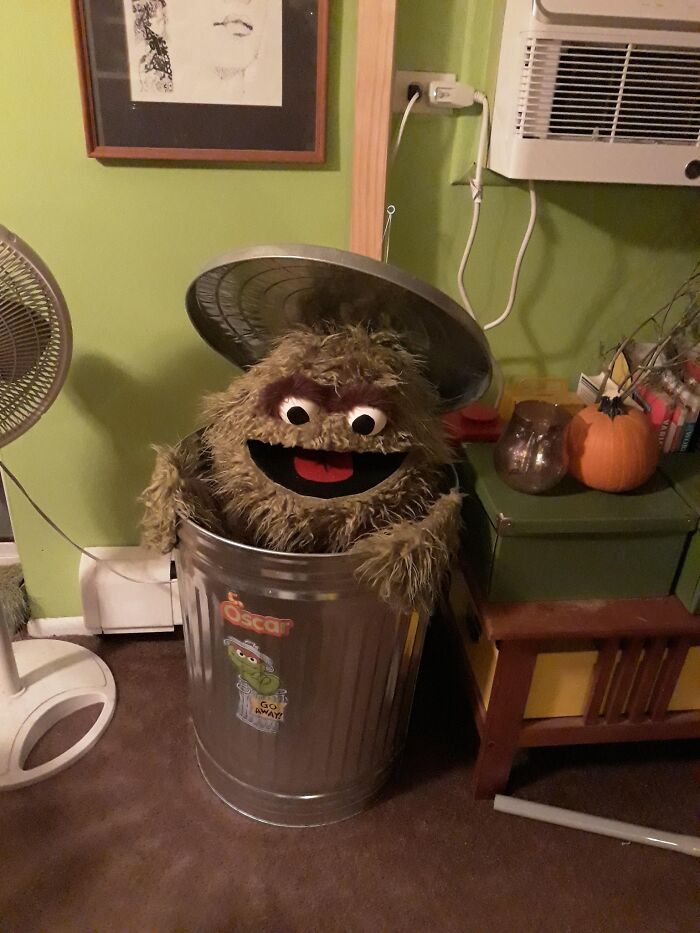 I Might Just Have Won This Whole Weird And Wonderful Finds Game... Oscar The Grouch, Via A Buy Nothing Group On Facebook. I Love Him So Much. This Is Him In My Home