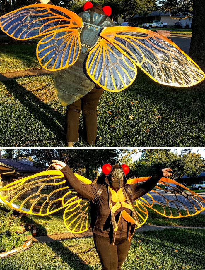Upcycled A Thrifted Backpack, Hoodie, And A Crapload Of Used Cardboard Boxes Into My 2021 Halloween Costume: A Periodical Cicada. Brood X Visited Texas 5 Months Too Late!