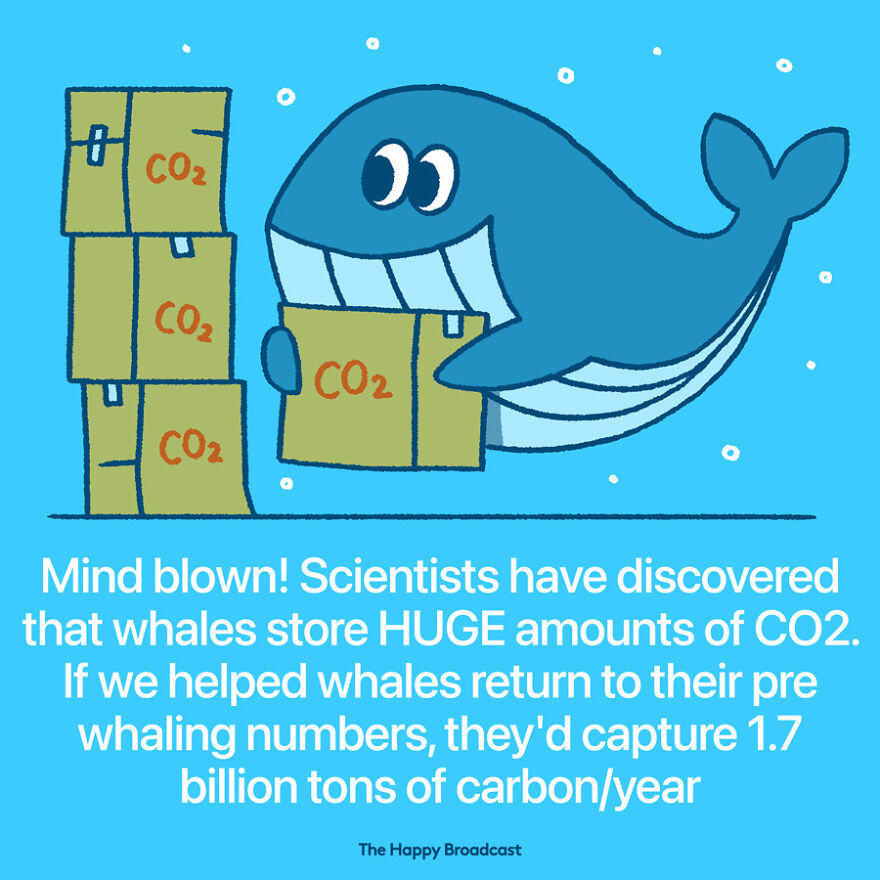 I’m Honestly Fed Up With All The Bad News So I Illustrated The Best News Of 2021