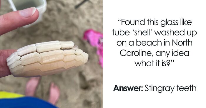 50 Times People Had No Idea What They Were Looking At And Asked The Internet For Help (New Pics)