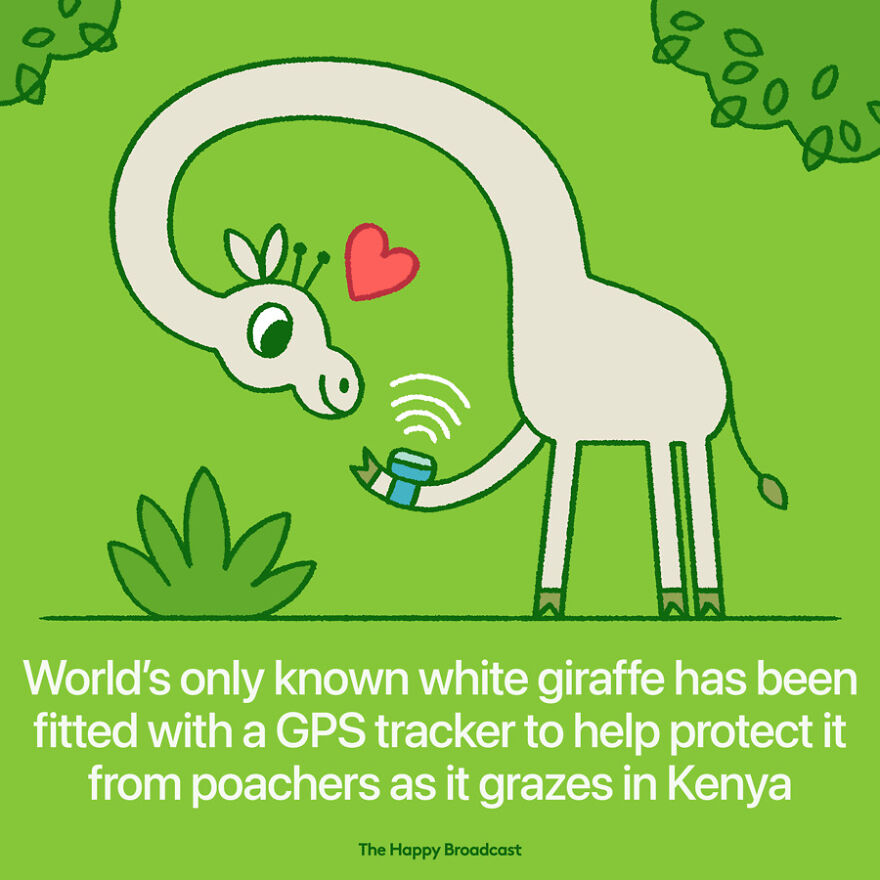 I’m Honestly Fed Up With All The Bad News So I Illustrated The Best News Of 2021