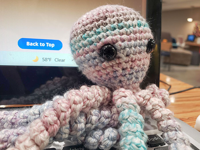 My Incredibly Sweet Coworker Made Me An Octopus