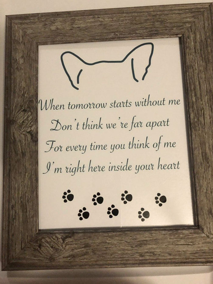 My Wife Made This Last Night For A Coworker That Had Her 10-Year-Old Chihuahua, Lucy, Passed Away Unexpectedly Of Heart Failure