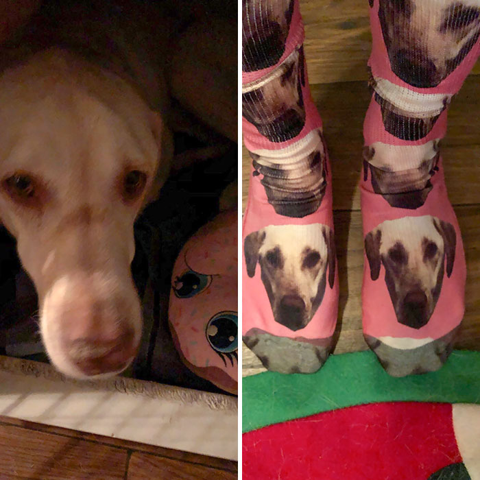 My Coworker Gave Me Socks With My Dogs Face On Them