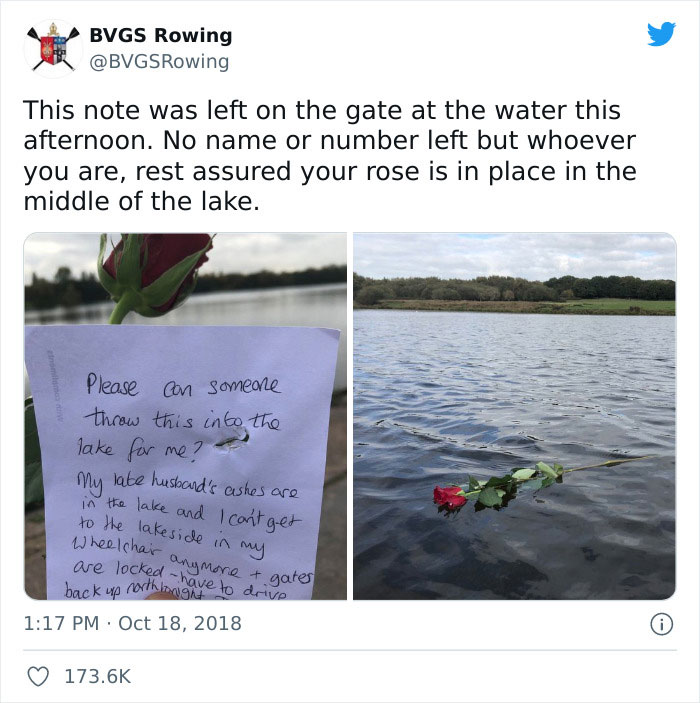 Wholesome-Meets-The-Internet