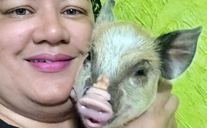 This Woman Thought She Was Buying A Piglet, But It Grew Into A 551-Pound Pig That Is Adored By Its Family Despite Its Size