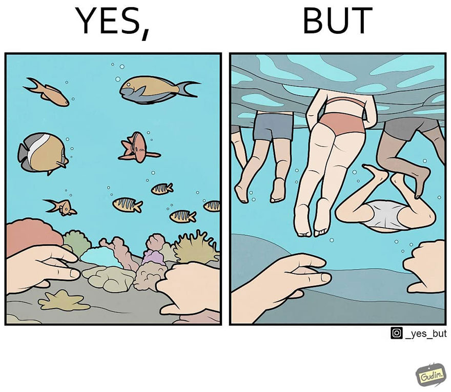 Sarcastic comic by artist showing a peaceful underwater scene versus swimmers disrupting it, highlighting society's contradictions.