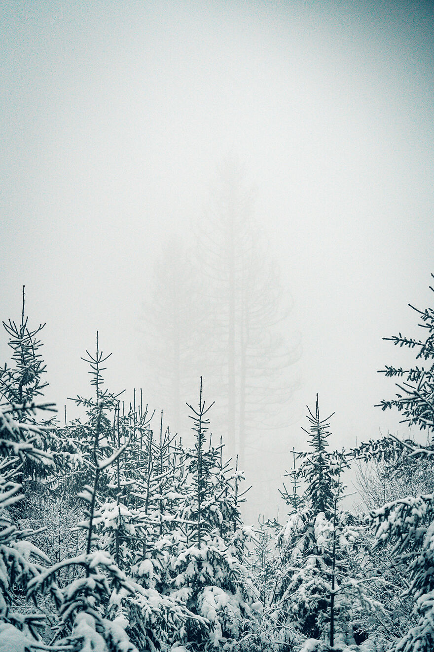 January 2022 – Nordhelle. Shot With Sony A7 III + 200-600mm