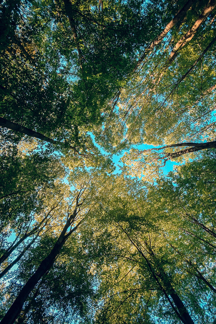 June 2021 – Shot With My iPhone While On A Walk, Bochum