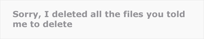Boss Fires IT Guy, Makes Him Delete All The Files Despite Being Advised Not To, Realizes His Mistake Too Late Boss Fires IT Guy, Makes Him Delete All The Files Despite Being Advised Not To, Realizes His Mistake Too Late