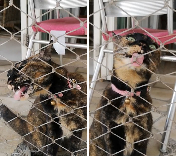 She Prefers Rubber Bands, But A Net Will Do Too