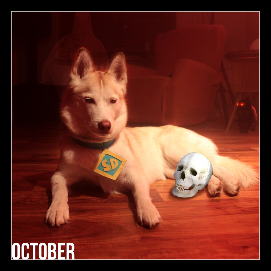 I Photoshop My Dog Into Goofy Scenes For My 2022 Calendar