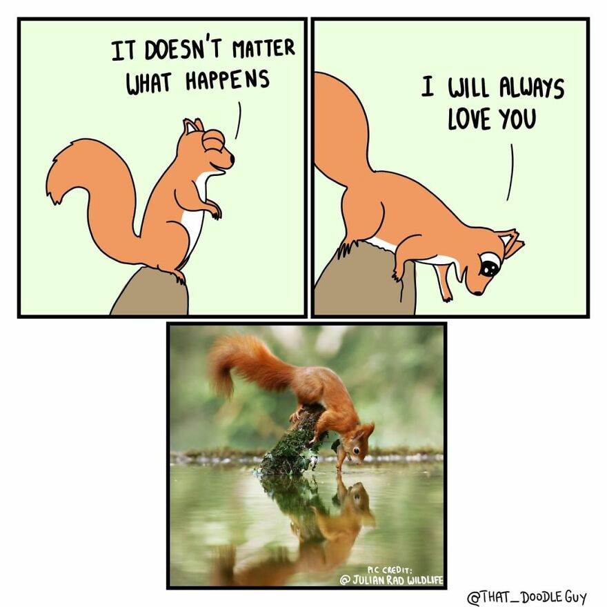 10 Comics That Show Wholesome Backstory Of These Real Animal Pictures!