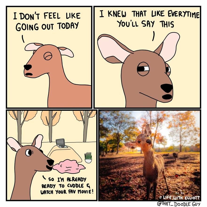 10 Comics That Show Wholesome Backstory Of These Real Animal Pictures!