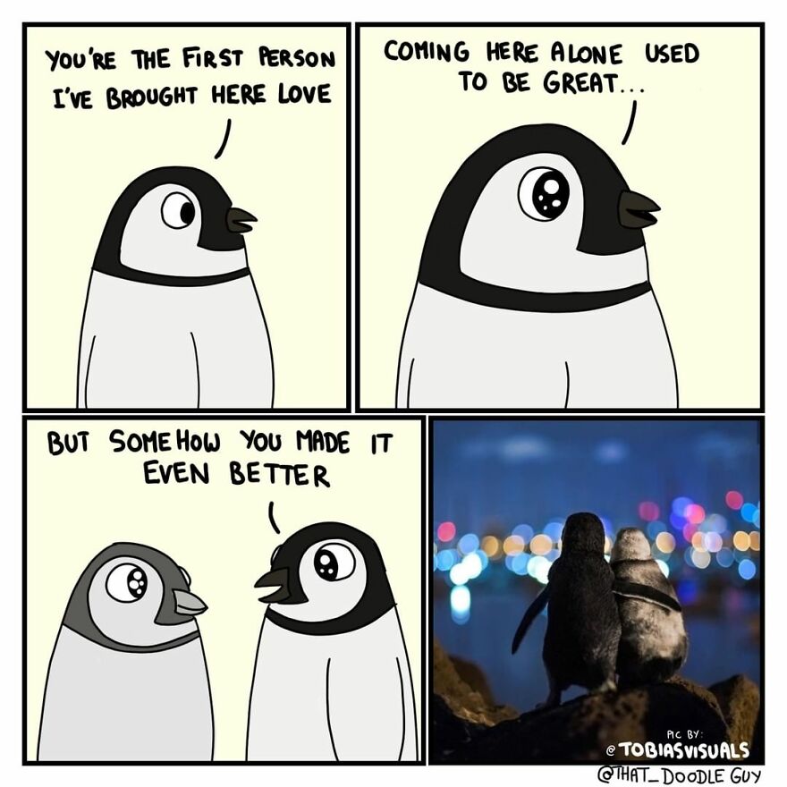 10 Comics That Show Wholesome Backstory Of These Real Animal Pictures!