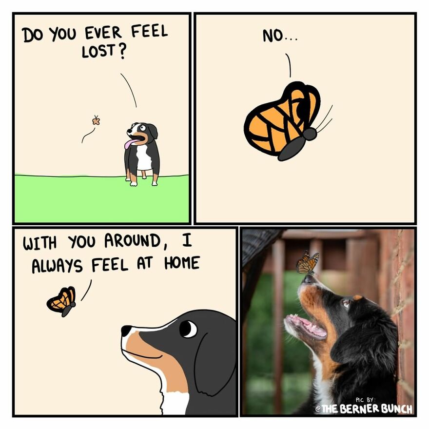 10 Comics That Show Wholesome Backstory Of These Real Animal Pictures!