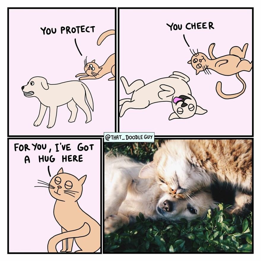 10 Comics That Show Wholesome Backstory Of These Real Animal Pictures!