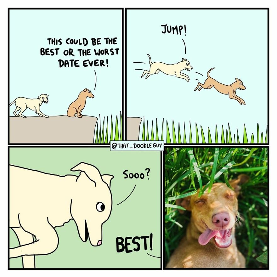 10 Comics That Show Wholesome Backstory Of These Real Animal Pictures!