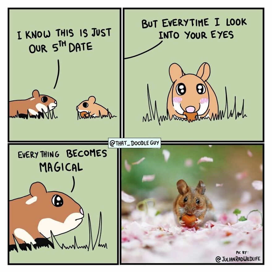 10 Comics That Show Wholesome Backstory Of These Real Animal Pictures!