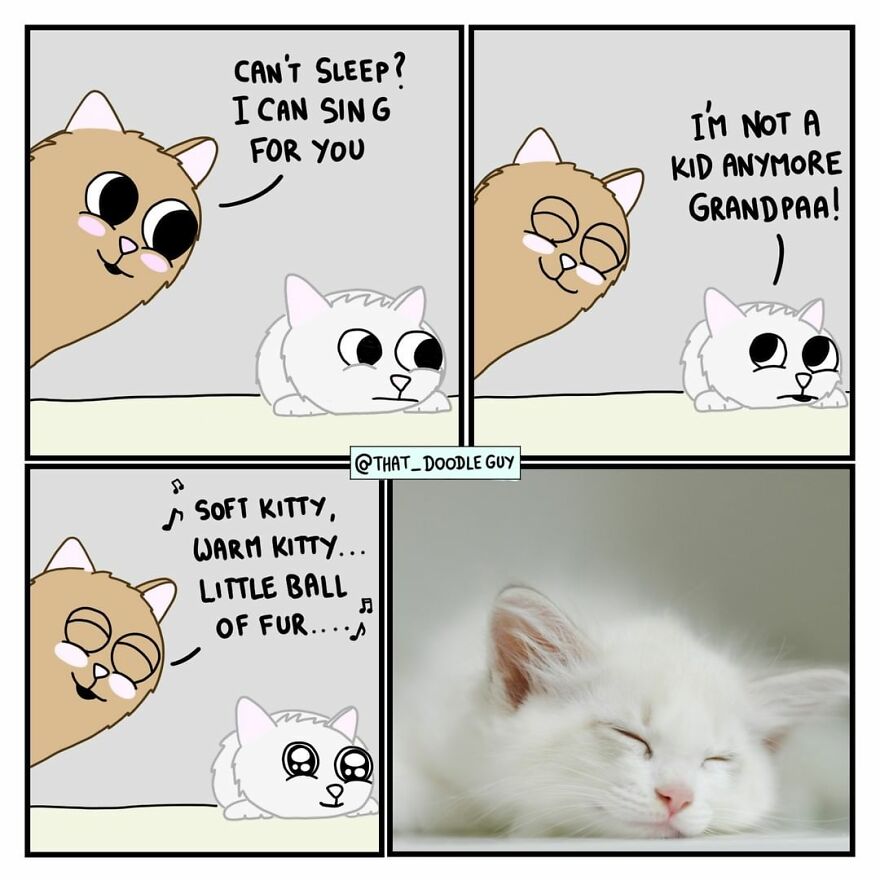 10 Comics That Show Wholesome Backstory Of These Real Animal Pictures!