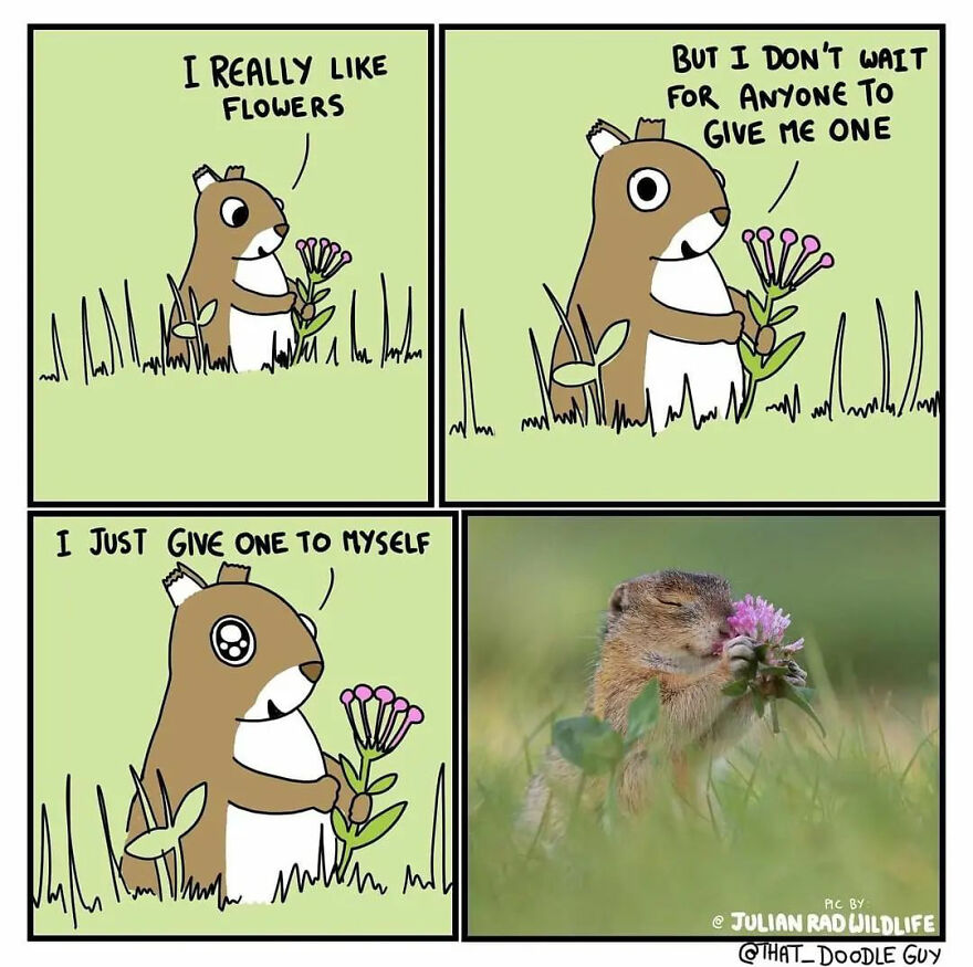 10 Comics That Show Wholesome Backstory Of These Real Animal Pictures!