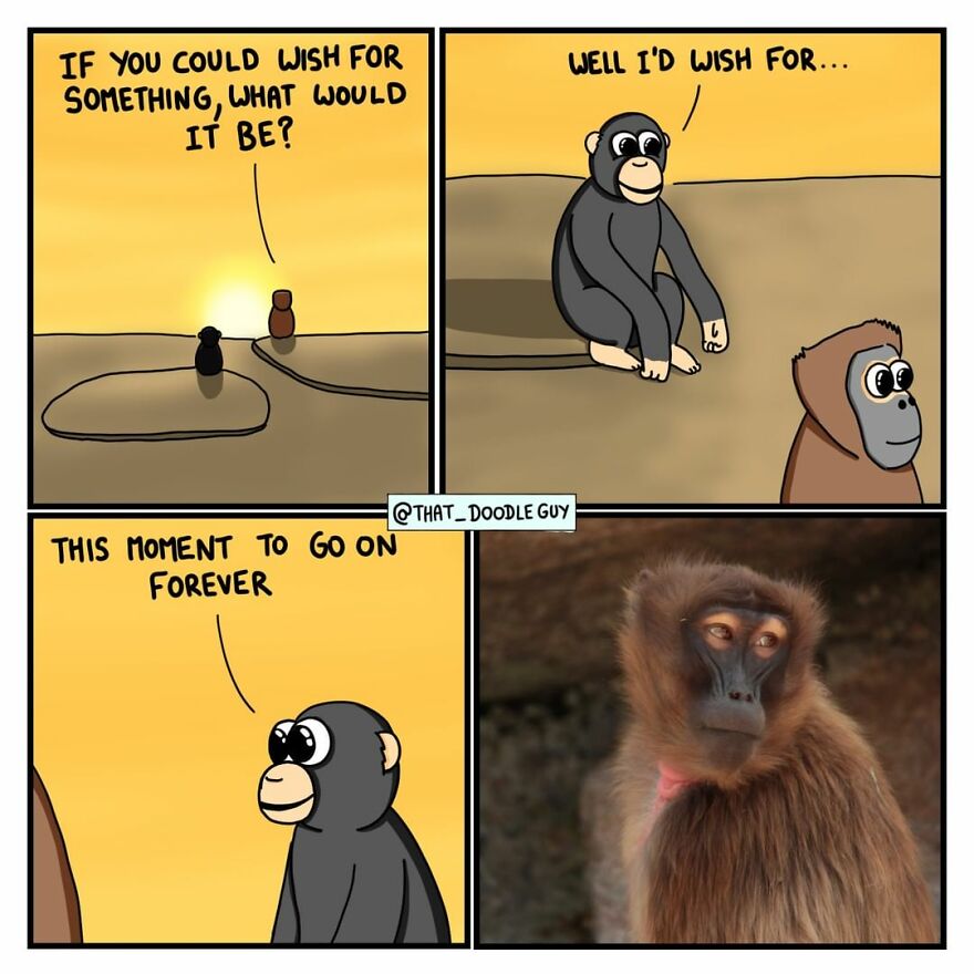 10 Comics That Show Wholesome Backstory Of These Real Animal Pictures!