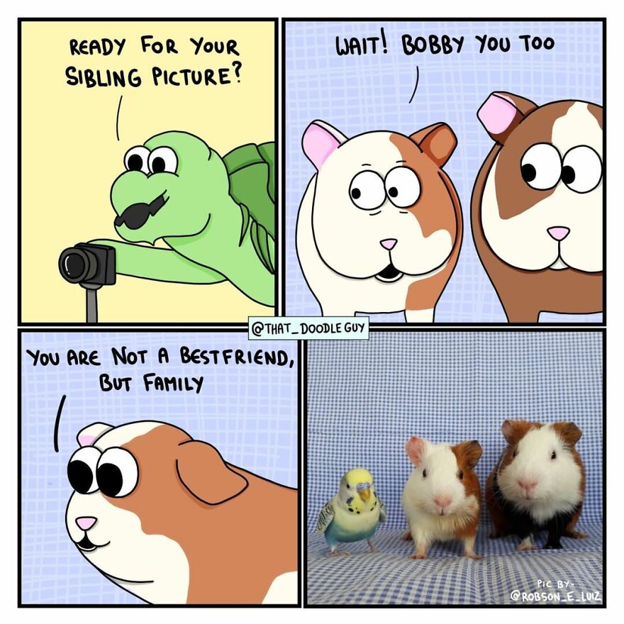 10 Comics That Show Wholesome Backstory Of These Real Animal Pictures!