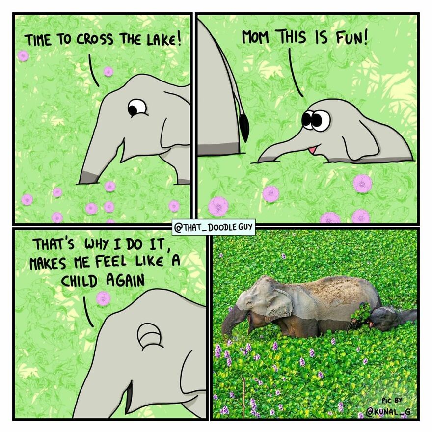 10 Comics That Show Wholesome Backstory Of These Real Animal Pictures!