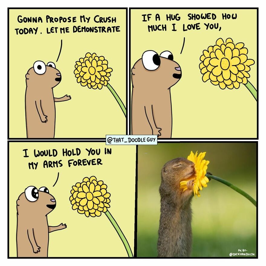 10 Comics That Show Wholesome Backstory Of These Real Animal Pictures!