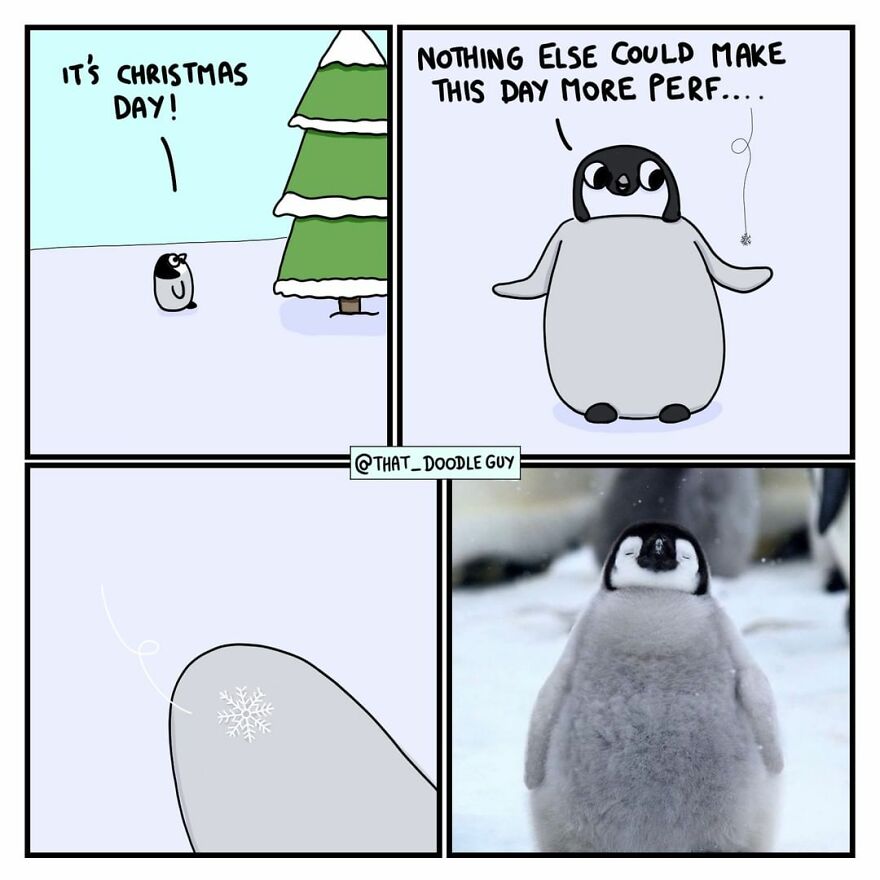 10 Comics That Show Wholesome Backstory Of These Real Animal Pictures!