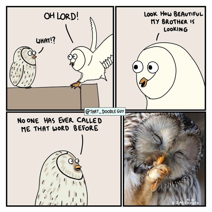 10 Comics That Show Wholesome Backstory Of These Real Animal Pictures!