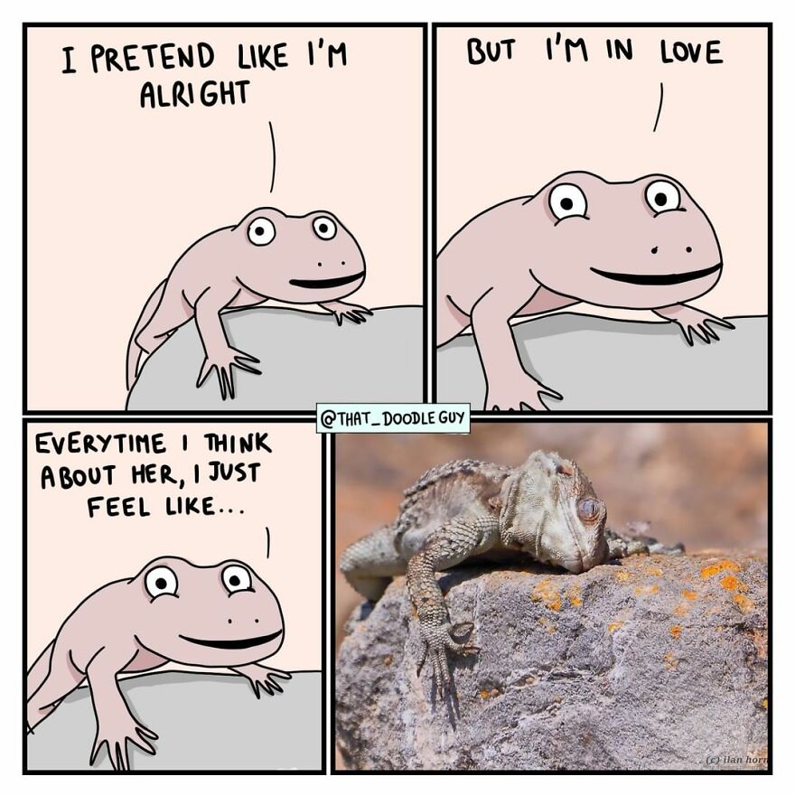 10 Comics That Show Wholesome Backstory Of These Real Animal Pictures!