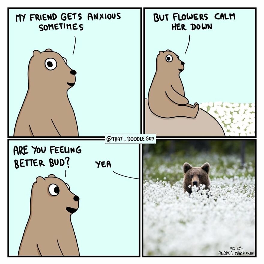 10 Comics That Show Wholesome Backstory Of These Real Animal Pictures!