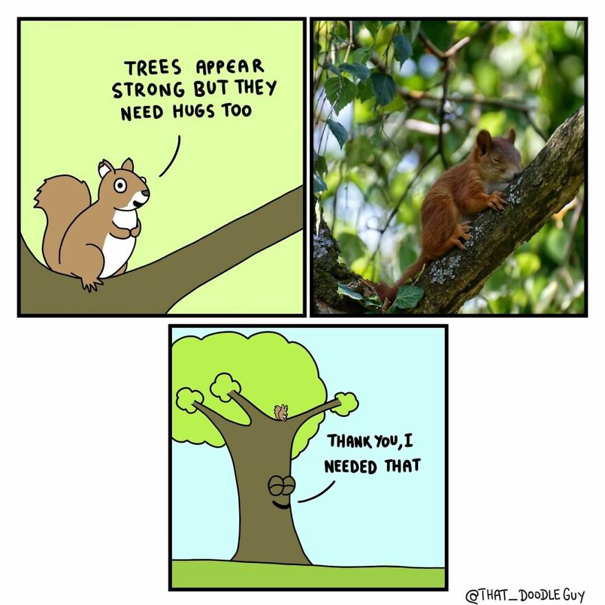 10 Comics That Show Wholesome Backstory Of These Real Animal Pictures!