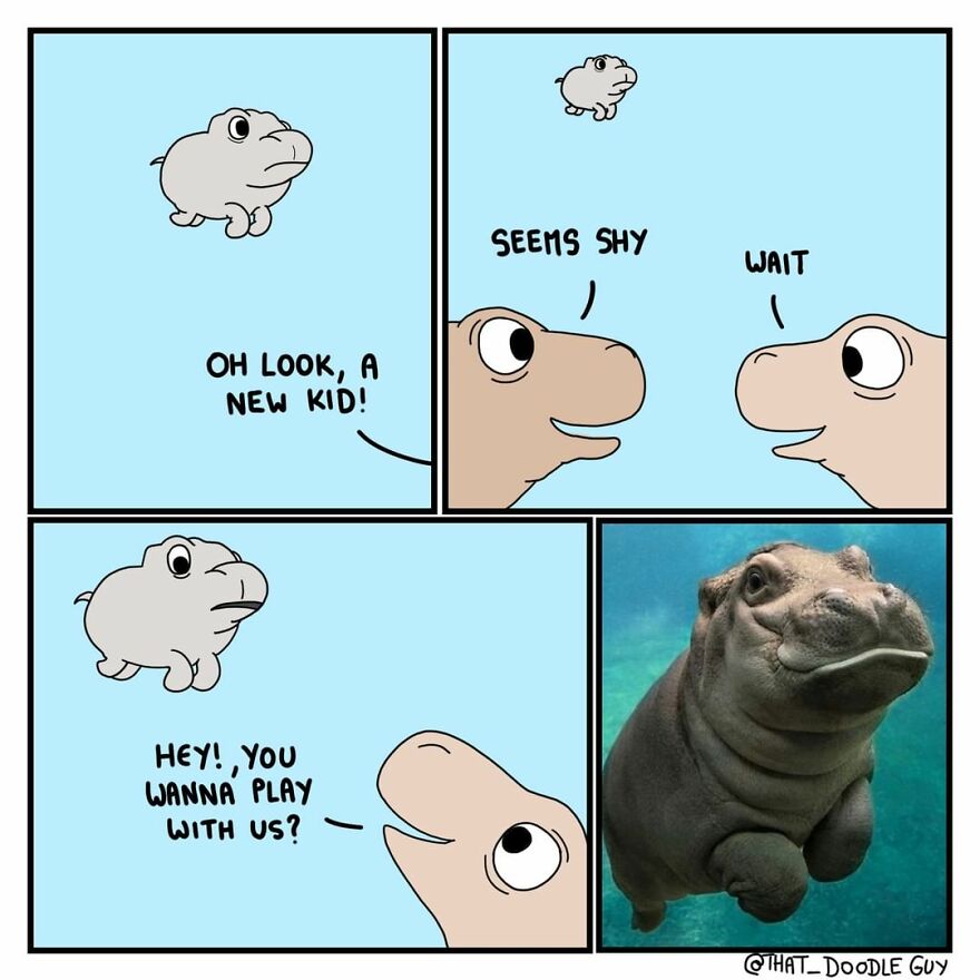 10 Comics That Show Wholesome Backstory Of These Real Animal Pictures!