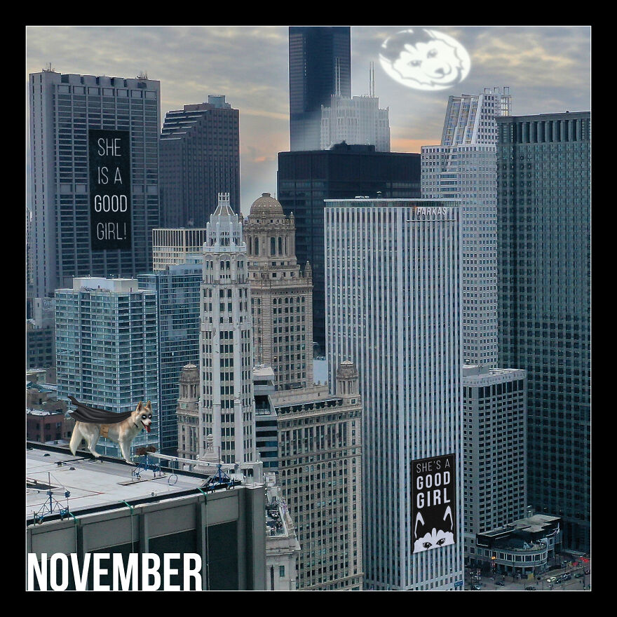 I Photoshop My Dog Into Goofy Scenes For My 2022 Calendar