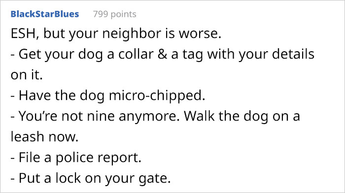 Woman Asks If She’s Wrong To Be Furious With Neighbor Who Took Her Dog From Her Own Yard Because She Thought He Was A Stray