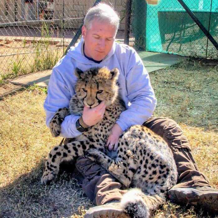 Meet Dolph, A Man Who Became Best Friends With A Wild Cheetah Meet Dolph, A Man Who Became Best Friends With A Wild Cheetah