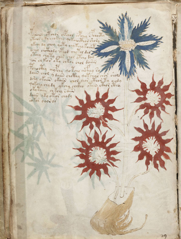 The Meaning Of The Text In The Voynich Manuscript
