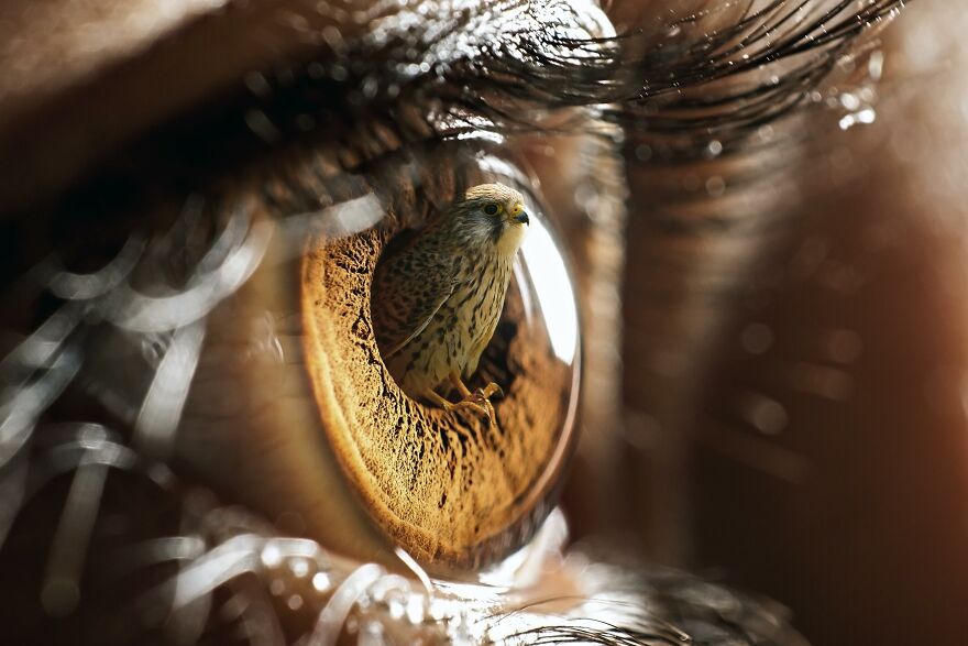 I Created 10 Fantasy Eye Art With Photoshop