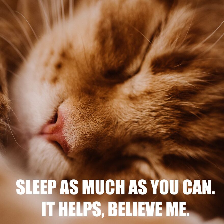 7 Tips From My Cat Thor To Feel Better On Monday