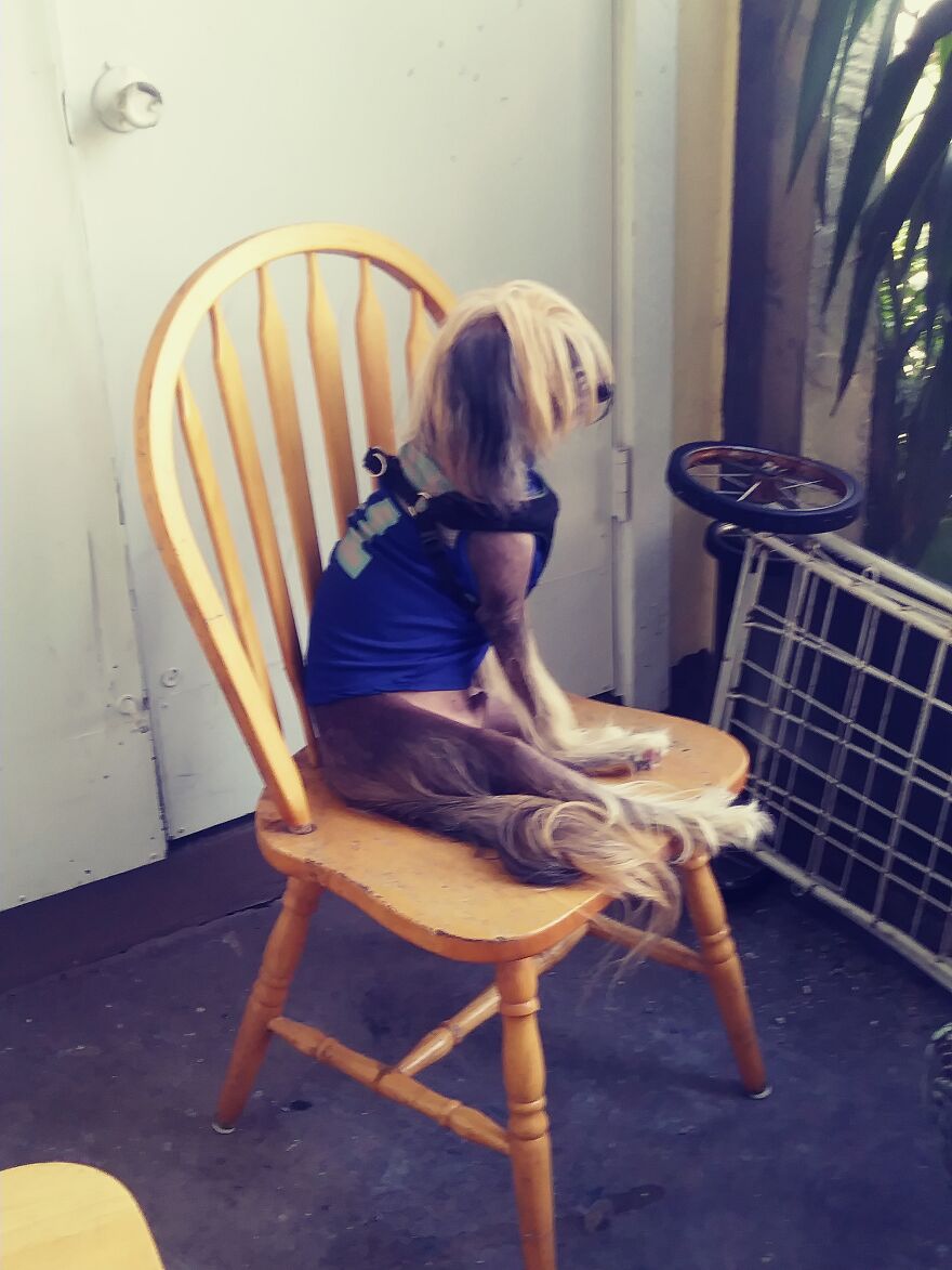 Rescues Can Be Difficult But Well Worth It Rescues Can Be Difficult But Well Worth It